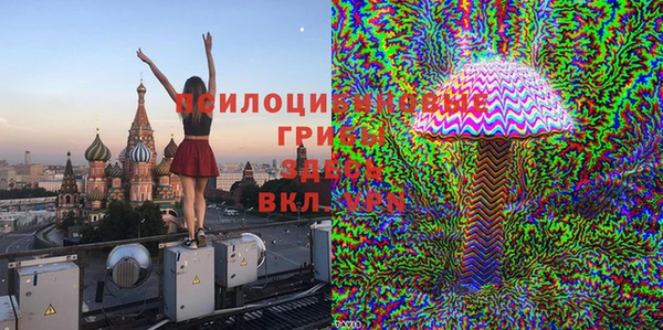 стафф Покачи
