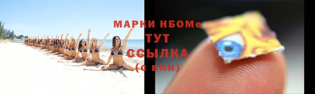 стафф Покачи