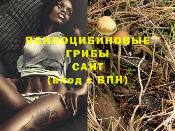 сатива Видное