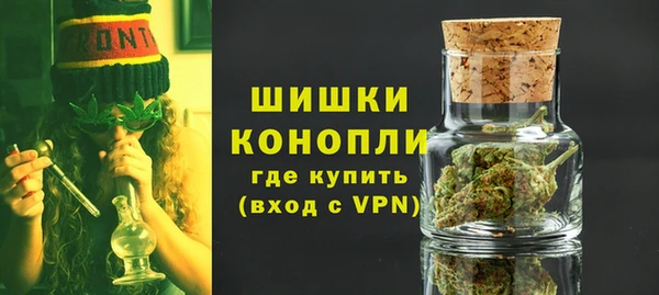 стафф Покачи