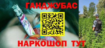 шишки Коммунар