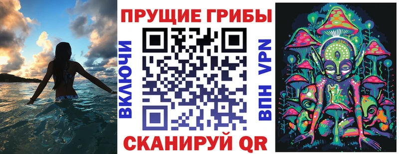 что такое наркотик  Череповец  МЕГА зеркало  Псилоцибиновые грибы MAGIC MUSHROOMS 