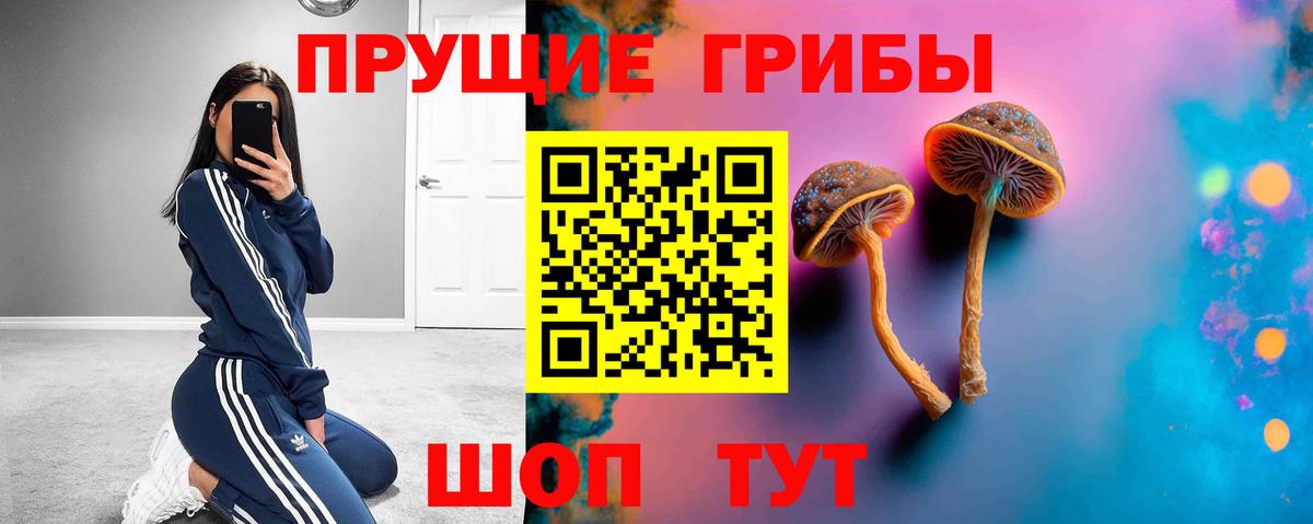 Псилоцибиновые грибы Magic Shrooms  Галлюциногенные грибы Psilocybe  дарнет шоп  Череповец 