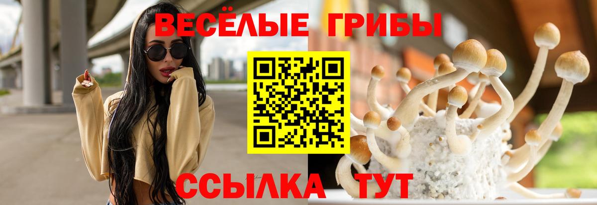 Череповец  Галлюциногенные грибы MAGIC MUSHROOMS  Вход с VPN 