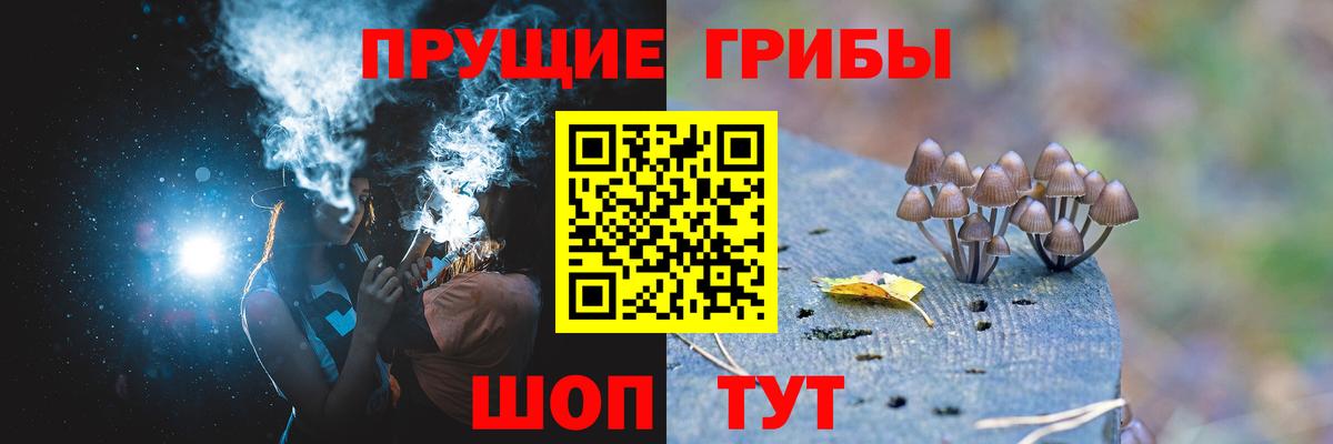 Псилоцибиновые грибы MAGIC MUSHROOMS Череповец